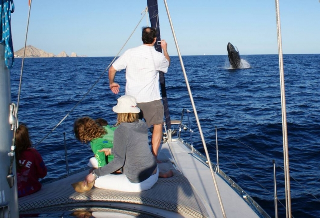 Fotografiando la ballena desde el barco